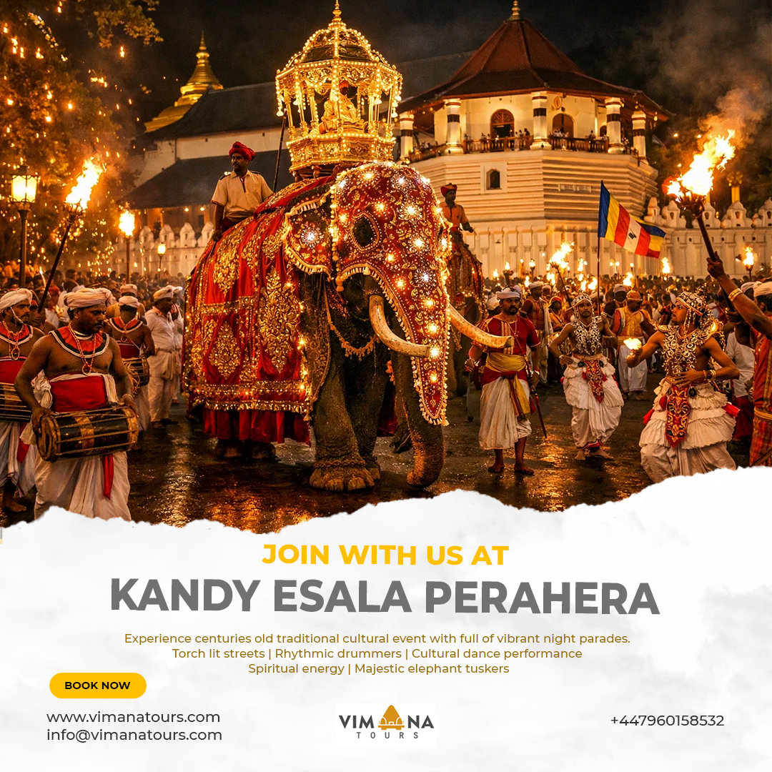 Vimana Tours — Social Media Post