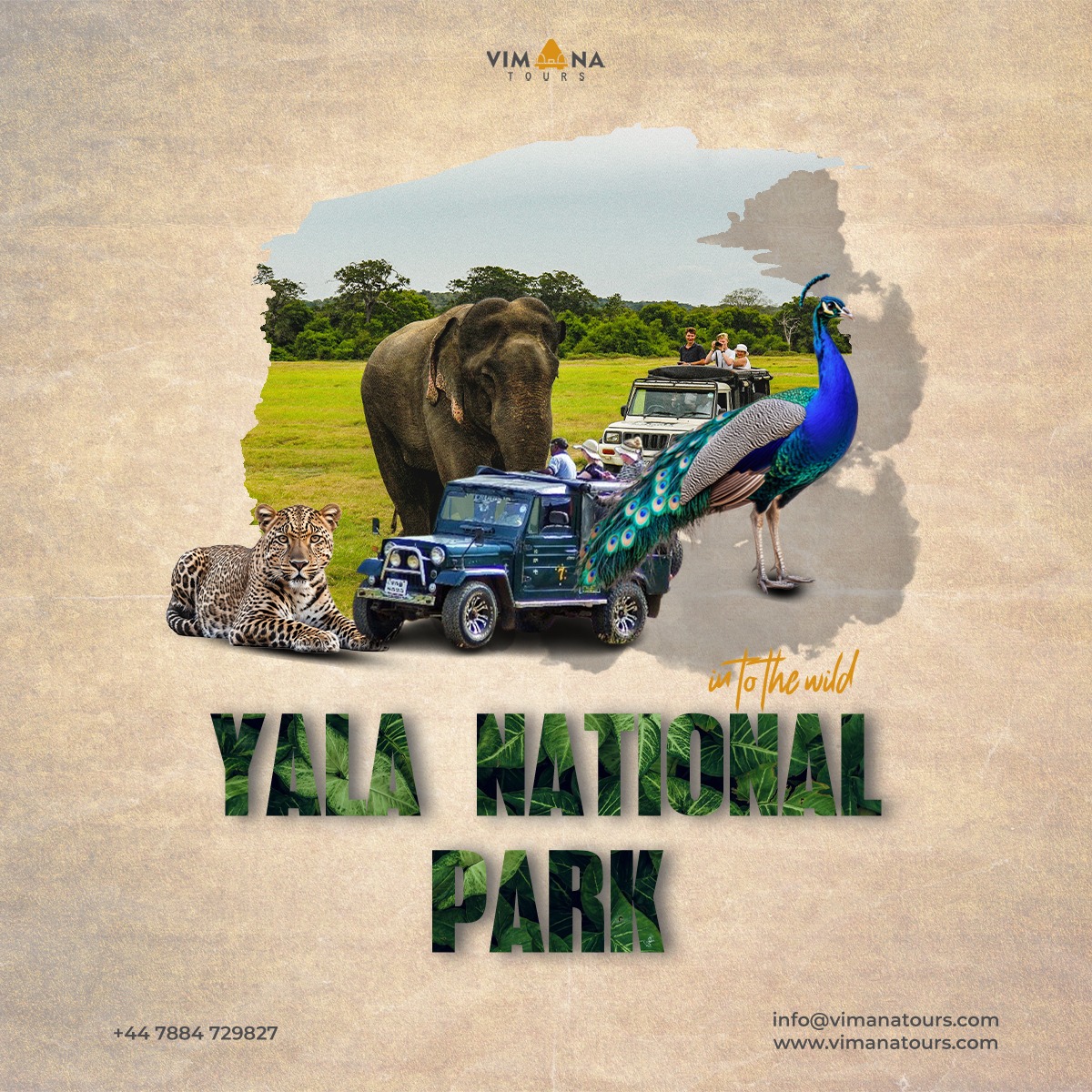 Vimana Tours — Social Media Post