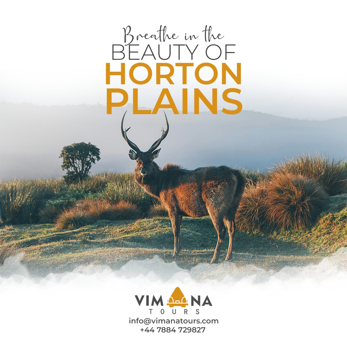 Vimana Tours — Social Media Post
