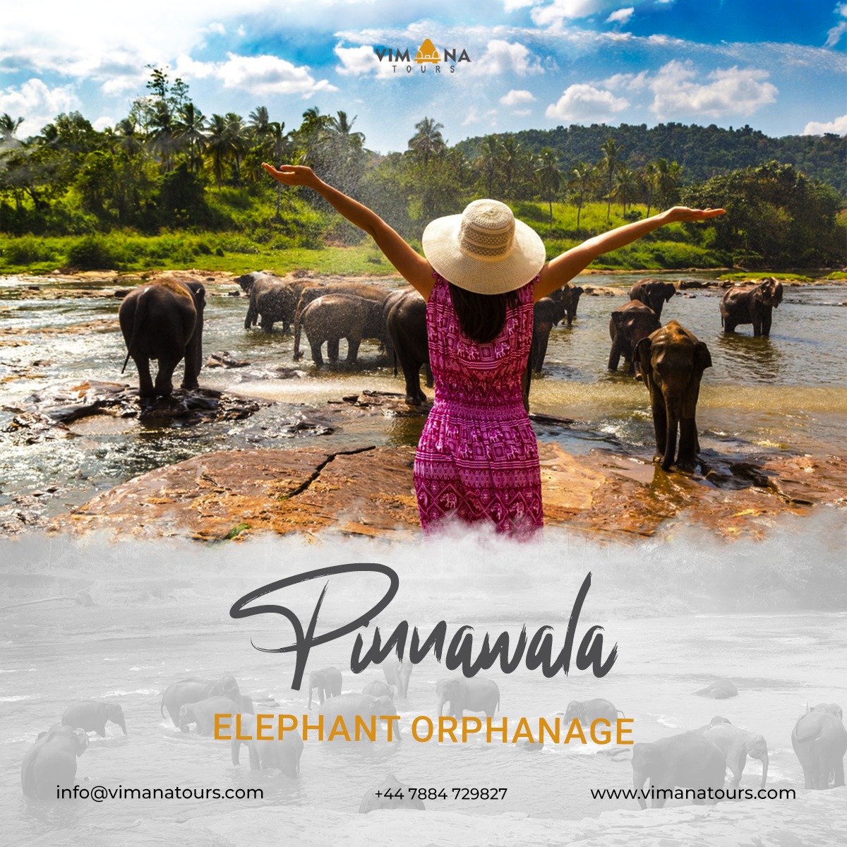 Vimana Tours — Social Media Post